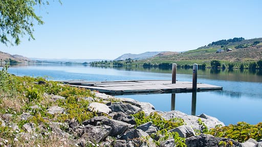 River side with dock landscape