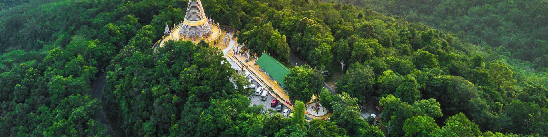 A lush green forest with a temple on a hilltop.