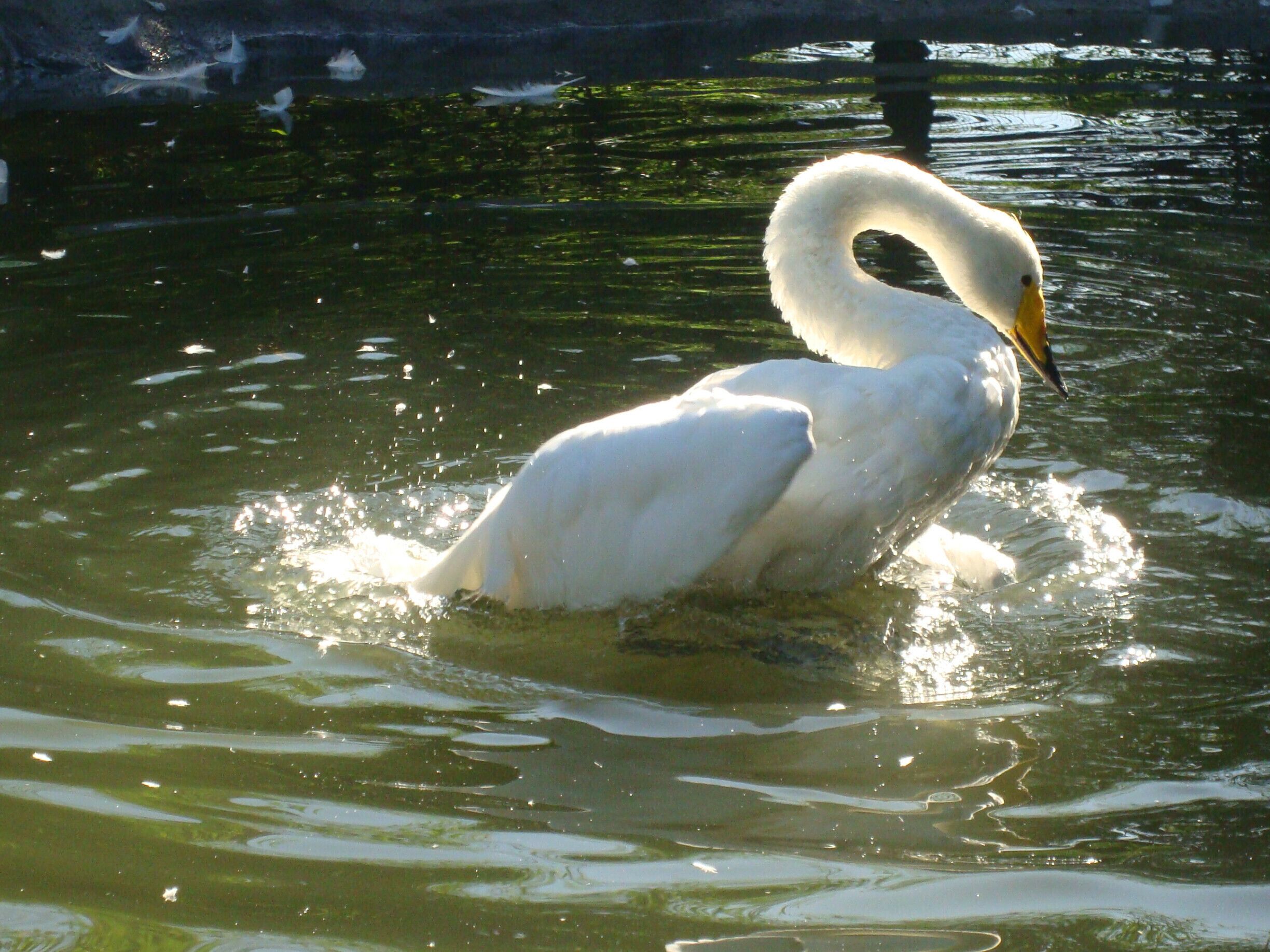 took this the second time i visited helsinki 