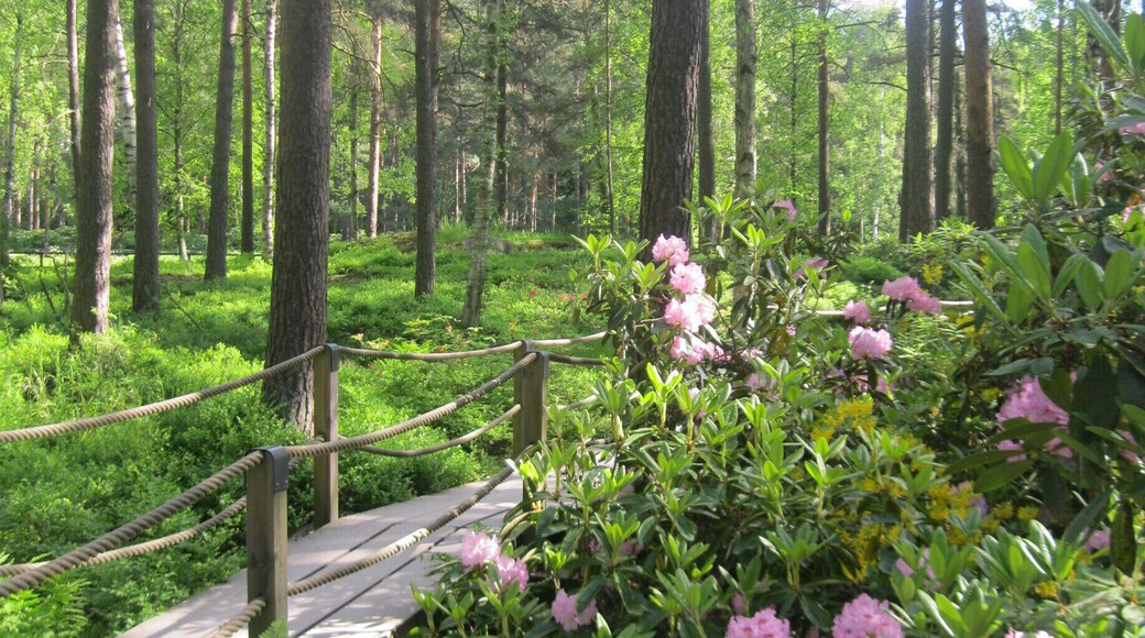 To me this is the loveliest place in Helsinki in early June. Rhododendron Park in city district of Haaga. To see the blossoming time is like walking in a middle of the magic forest of flowers! Bring your own picnic -basket with you and enjoy a nice day off in the park!