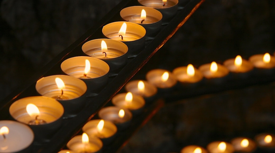 Candles are always a treat to photograph. I especially liked how the three lines of candle trays lead the eye around the image, and how I could play with the focus to have each layer less focused than the last.
#golden
