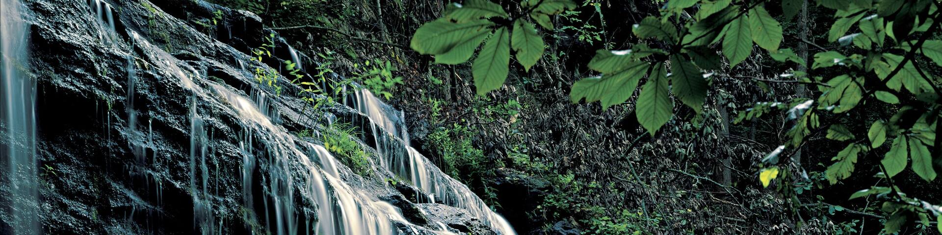 Oconee station cove falls waterfall cascade near walhalla pendleton south carolina early foggy morning summer