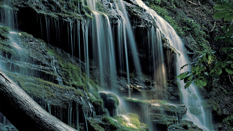 A multi-tiered waterfall surrounded by dense forest.