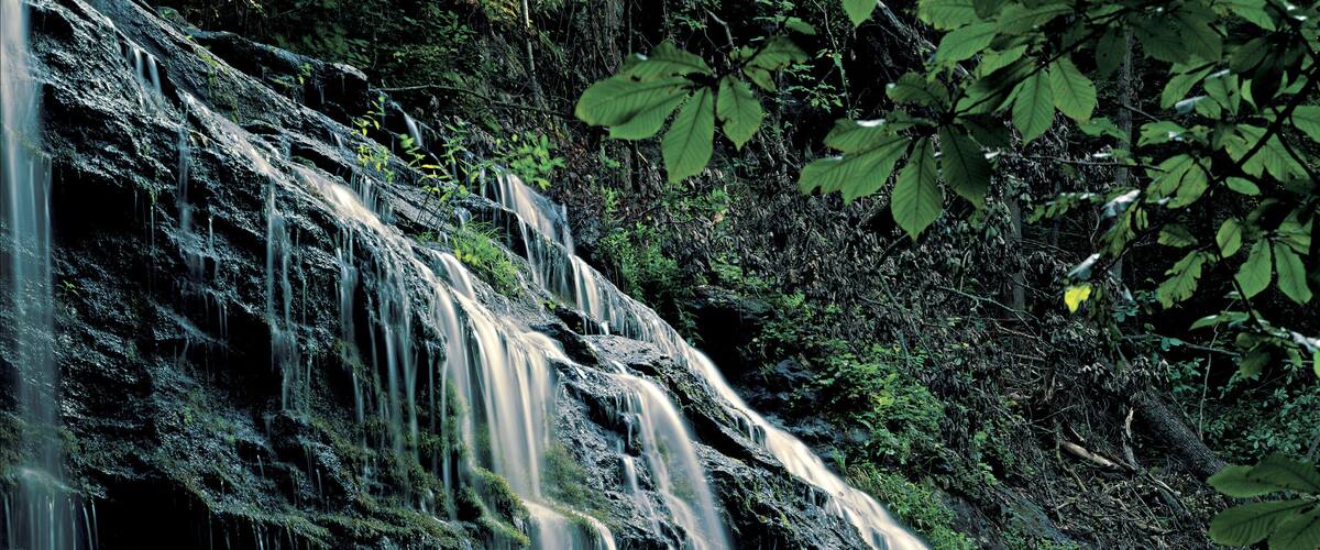 A multi-tiered waterfall surrounded by dense forest.