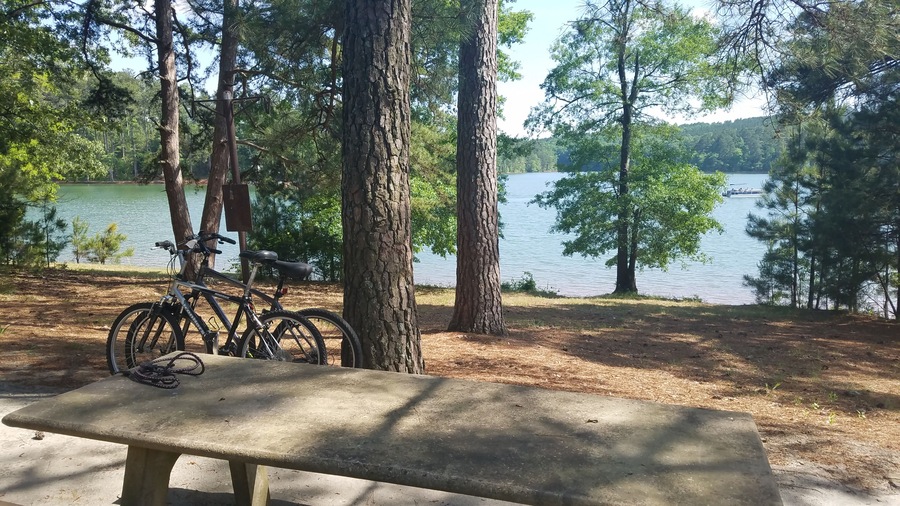 Almost every site in this campground is on the lake. Oddly, the entrance gate is locked every night at 10pm. But the trees and lake are beautiful! Peaceful and fullnof birds!