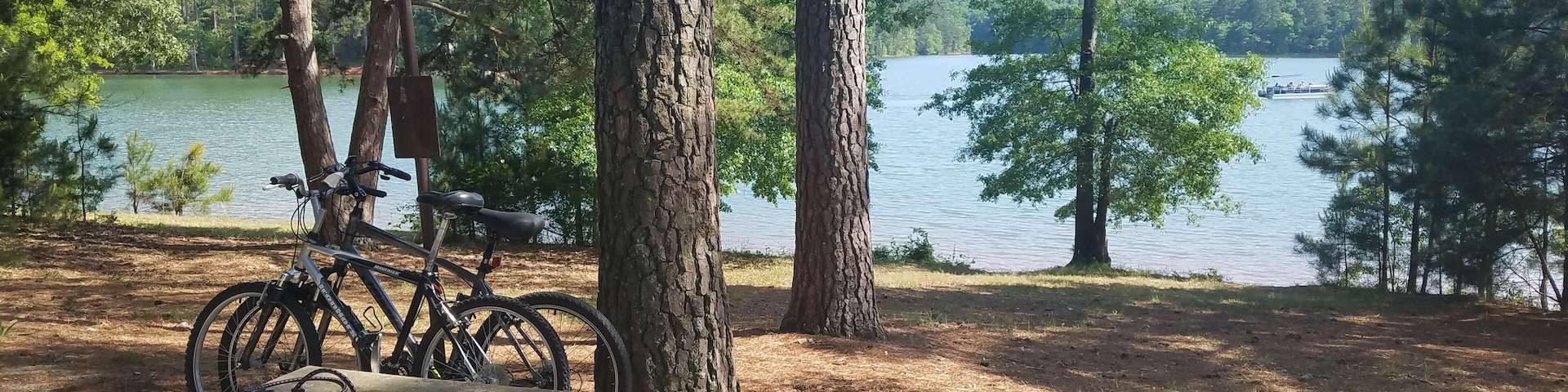 Almost every site in this campground is on the lake. Oddly, the entrance gate is locked every night at 10pm. But the trees and lake are beautiful! Peaceful and fullnof birds!