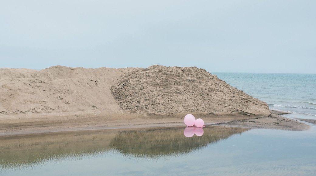 helium balloons on Lake Michigan sand dunes near Pentwater. USA