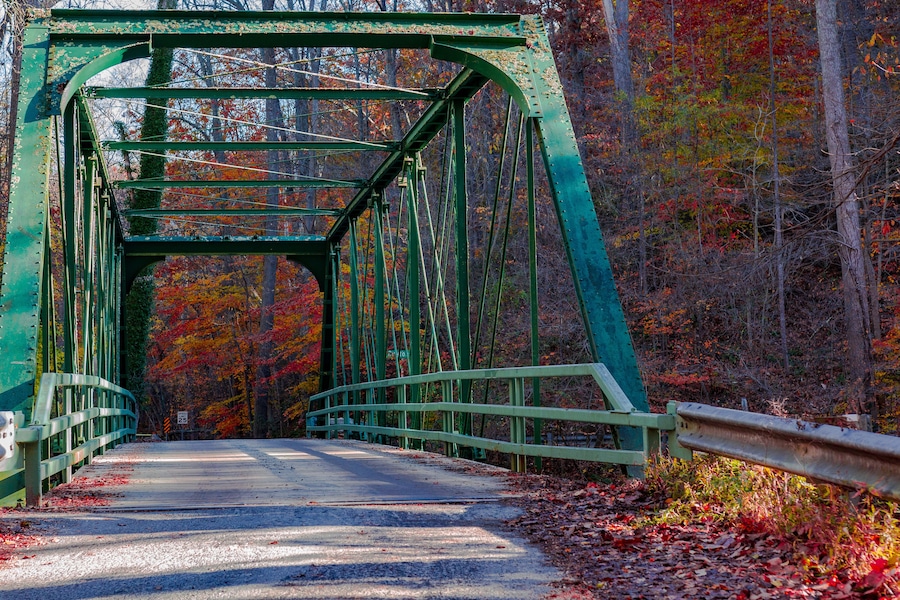 A green metal bridge with a road, surrounded by autumn-colored trees.