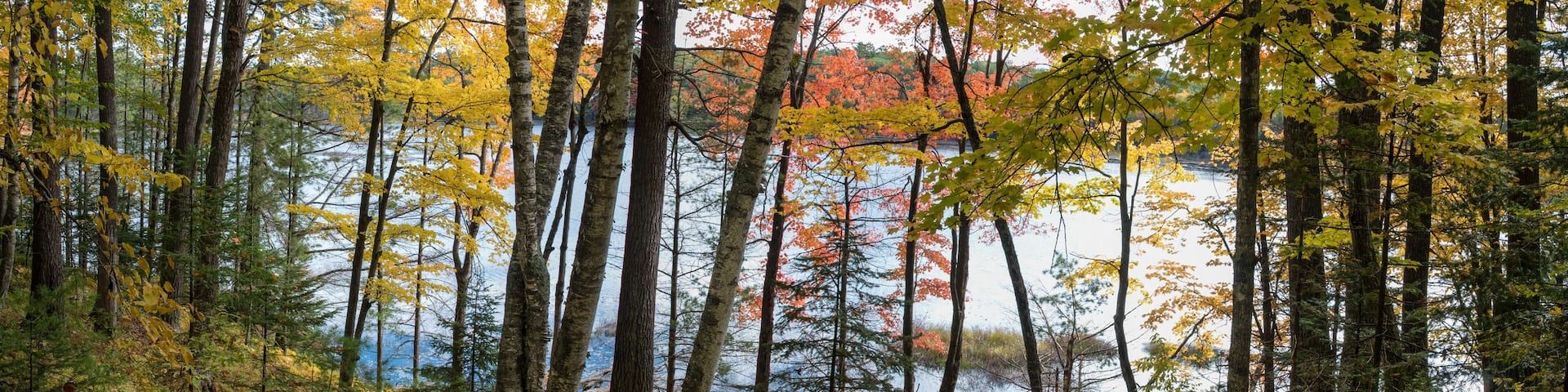 A view through the autumn woods of a pristine Northwoods lake. Vilas County, WI.