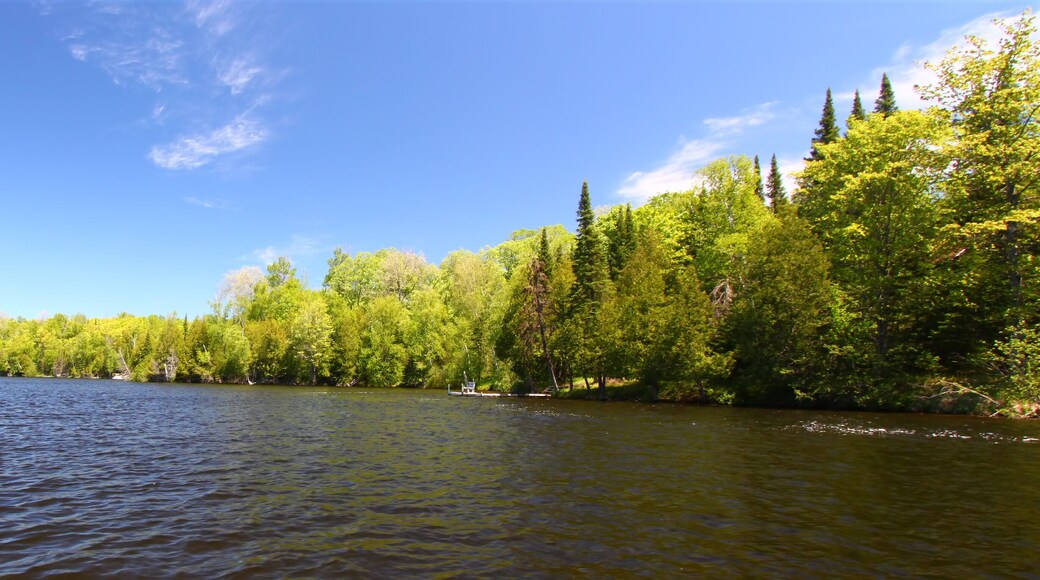 Little Horsehead Lake - Wisconsin