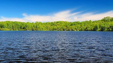 Little Horsehead Lake Panorama Wisconsin