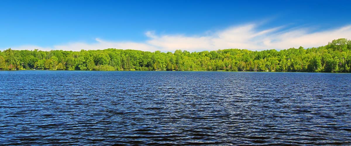 A calm lake with a forested shoreline and a clear blue sky.