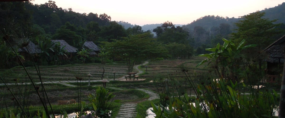 The rice fields of the Fern Resort, an eco hotel, at sunset