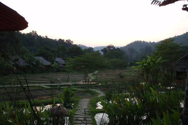 The rice fields of the Fern Resort, an eco hotel, at sunset