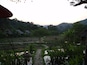 The rice fields of the Fern Resort, an eco hotel, at sunset