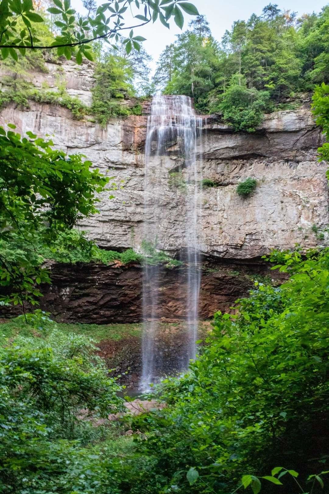 A waterfall cascading down a rocky cliff surrounded by lush greenery.