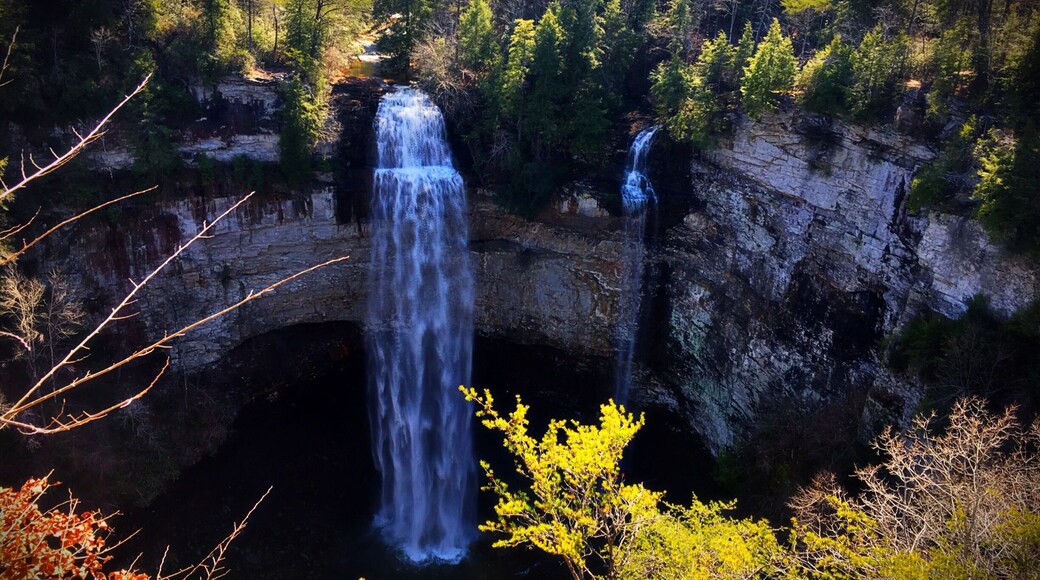 Great hiking trail around Fall Creek Falls.