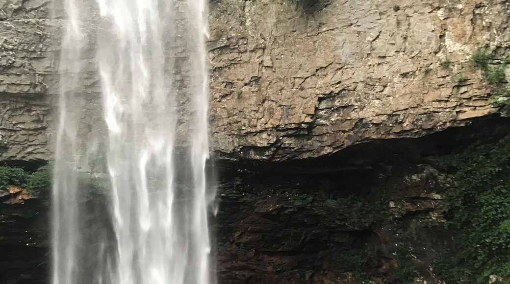 Cihekê bi av û xweş û bilind, heker tu bi zarok ve biçîye vêrê tu pişt rastbe dê mînîyel serê çîyayî jiberko rêk nîne bu erebanka zaroka û her wesa yab bere û dereceye heta bigehîye binê sîlavê lewra ya fere tu zaroka bi beye mala xesîya xwe yan mala deyka xwe heta biçî ye evê sîlavê yan xwe bigre heta zarok mezin bin 😝