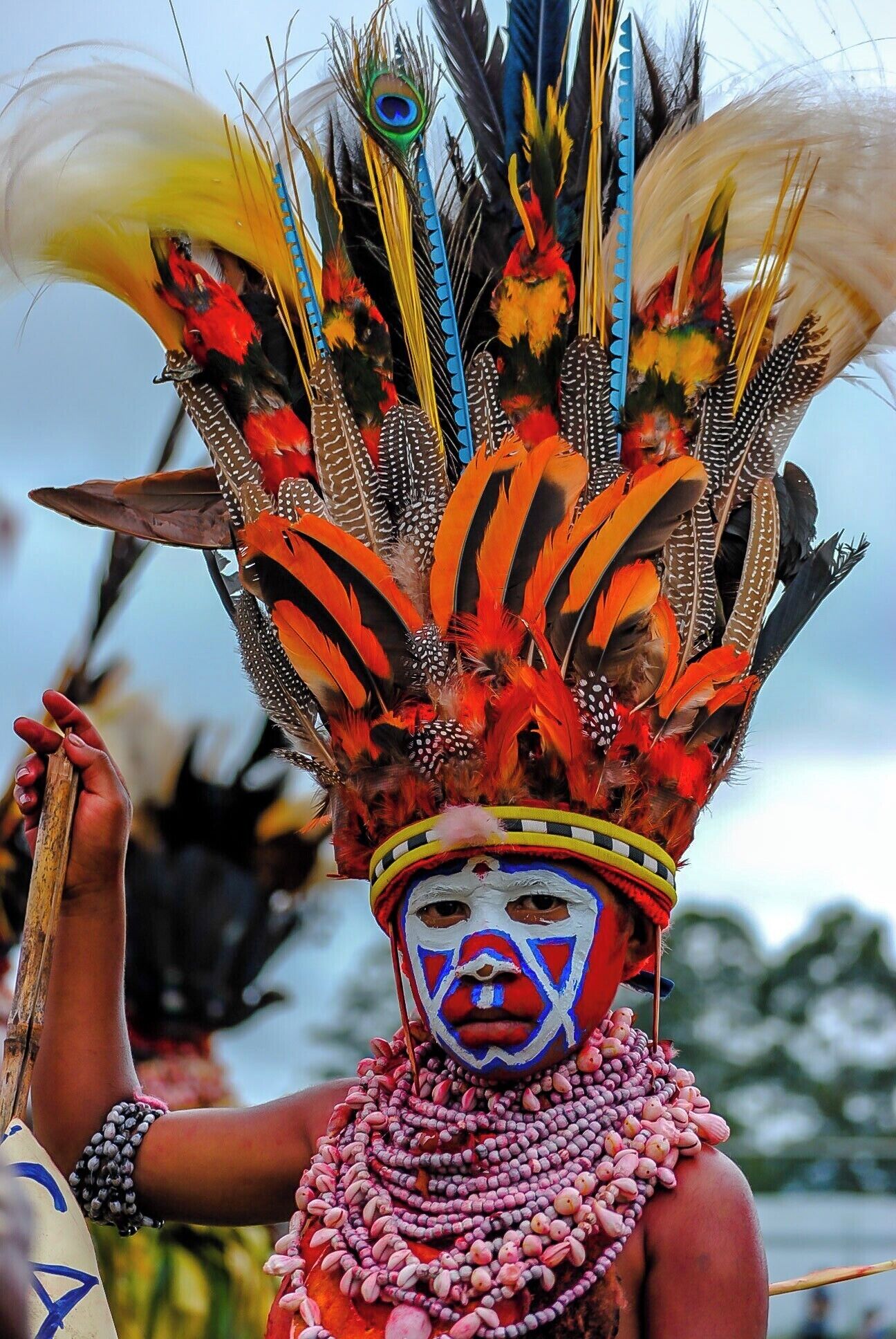 Mount Hagen, Sing Sing

After travelling to over 50 countries in the last few years, there has been nothing that has had an impact on me as much as the Mount Hagen Sing Sing in Papua New Guinea.

 Every year, 50 to 100 different tribes arrive early in the morning to an open field.  There, they don their face paint, beads, shell necklaces, grass skirts, and drums. 

Most importantly they construct their elaborate headdresses on site.  For example, the Simbu Traditional headdress is one of the most colorful traditional headdreses in the Highland Region. The front feathers are from the red parrot feathers. The green ones in the middle are from green parrots feathers and on the top are the Stephanie’s Astrapia Bird of Paradise feathers. When all these feathers are put into place they are tightened by a headband made of bamboo or bush veins and decorated by cuscus fur  or sometimes cassowary feathers.

 In Simbu tradition the Headdress plays a virtual role of identifying the status of a dancer in the society. The wealthy family is the one with more feathers and has the attractive headdress decorations.

At noon, they enter the parade grounds. They beat their drums, chant, sing and march around the open field. Visitors are allowed to get “up and personal” and take as many photos as they wish.  You’ll often see people lying on the ground to get a good shot of the headdress, only because they are often 3 ft. tall.  It’s an amazing site!


#FindingtheUniverse
