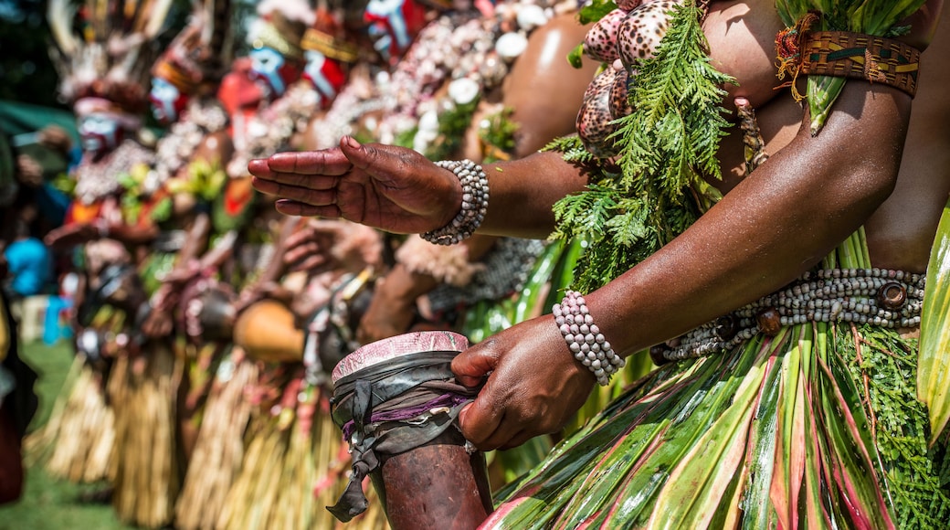 Cultural tribe at Mount Hagen festival Papua New Guinea
