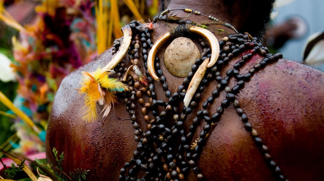 Highlander warrior back during a sing sing, Western Highlands Province, Mount Hagen, Papua New Guinea