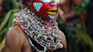 Une personne portant un couvre-chef coloré orné de plumes et de perles.