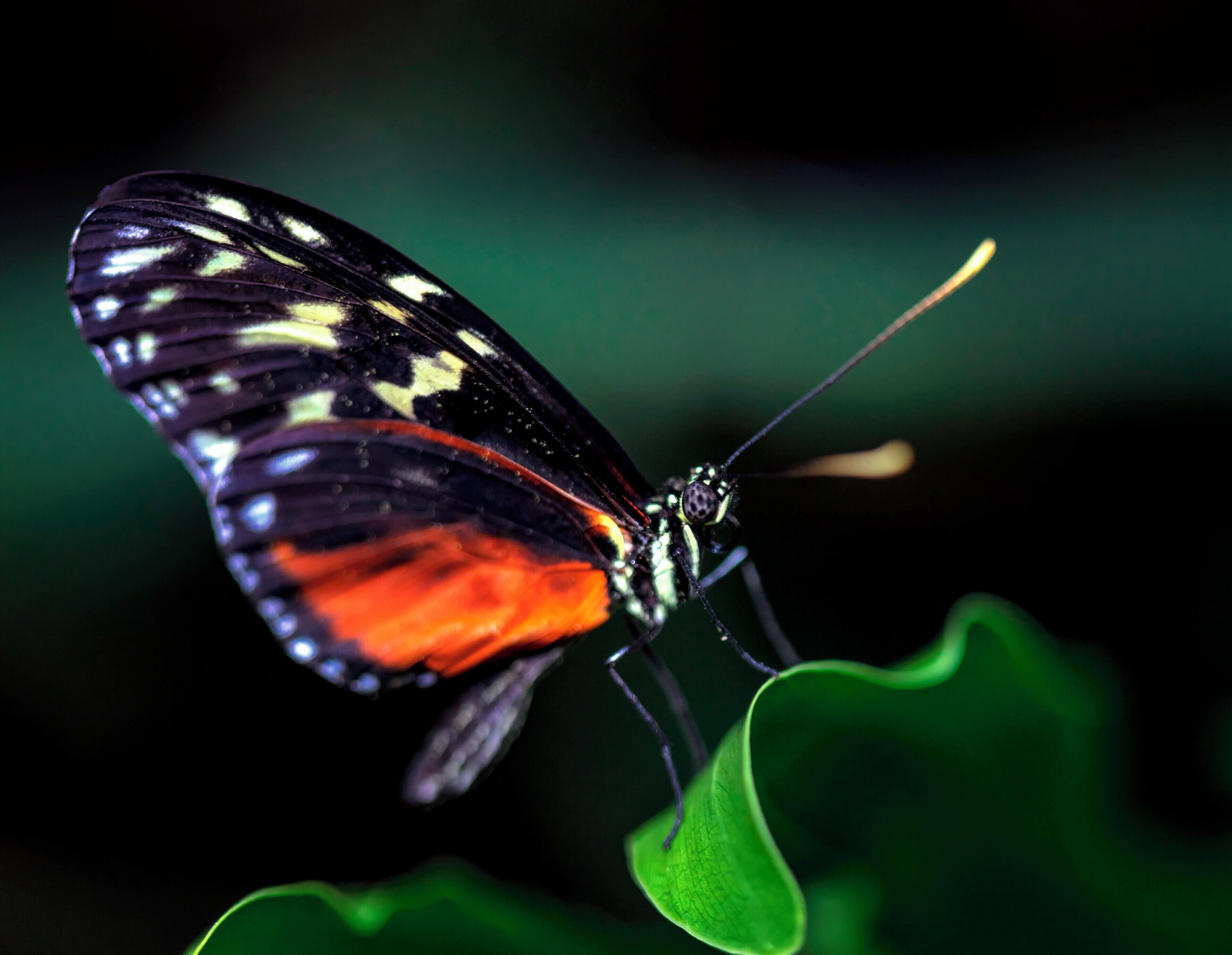 I think I took too many photos this day. 