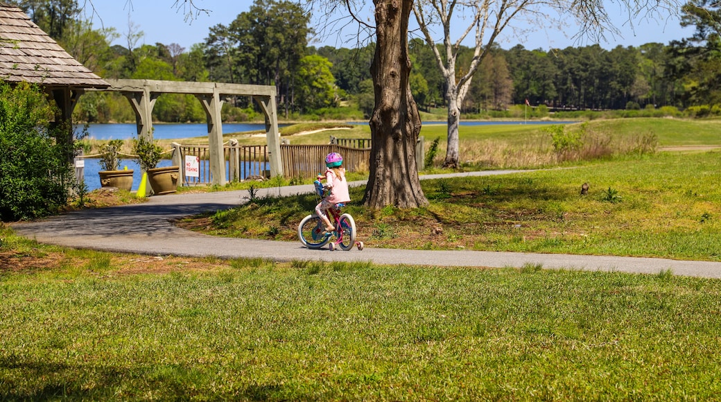 a little girl riding a bike on a smooth winding footpath in the garden surrounded by lush green trees, grass and plants near a blue lake with blue sky at Callaway Gardens in Pine Mountain Georgia USA