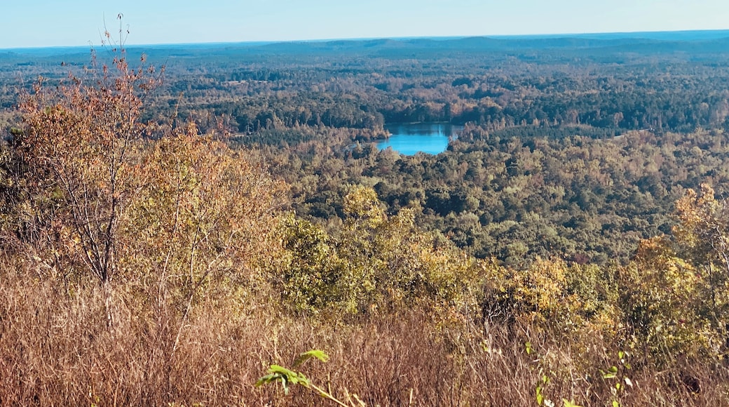 GreT relaxing spot to look at pine mountain and its surroundings.