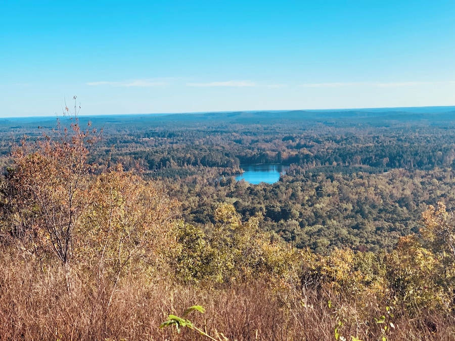 GreT relaxing spot to look at pine mountain and its surroundings.