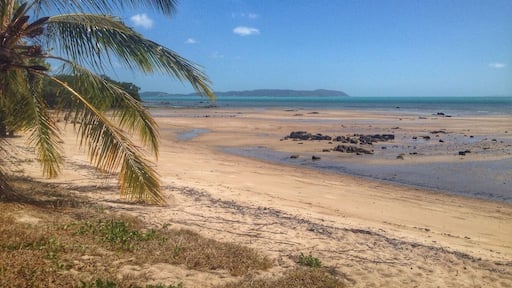 Most of Horn Island is protected by Native Title, but King Point has been designated as a recreational area so you can picnic, fish and camp. Imagine walking out of your tent to this view??!!
Bringing a car across to Horn Island is hugely expensive so you're best way to get here is by foot on the ferry from Thursday Island and catch a taxi or take a tour to get around.