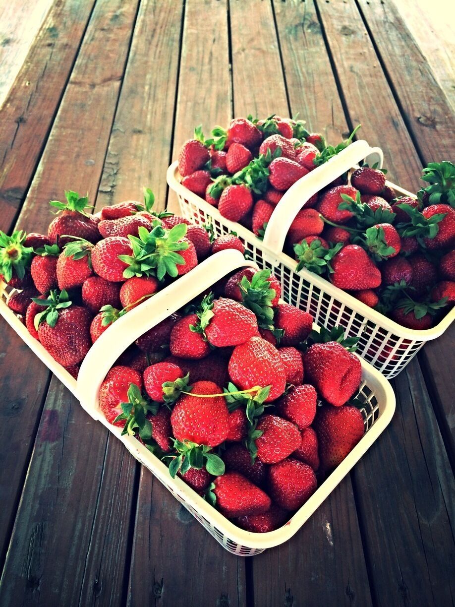 #delicious 
A beautiful organic farm in Pitsburg, TX, having pick-your-own strawberries, blackberries, blue berries and peaches. They also sell organic homegrown or locally sourced vegetables. Definitely a great place for a one day trip!
#localgem 