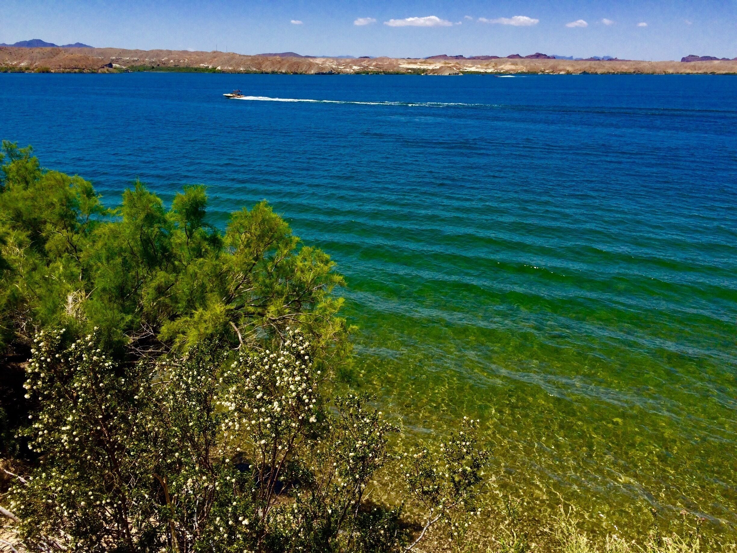 Un lago azul cristalino con un bote, rodeado de árboles verdes y montañas distantes.