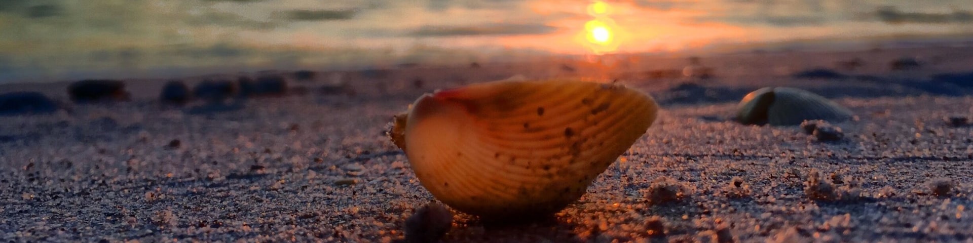 Little island in the Gulf of Mexico, no bridges,no cars, just a beautiful beach to be a shell on! #Beachbound