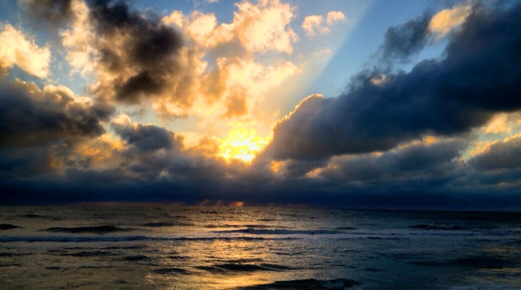 A fantastic little island off the coast of Florida in the Gulf of Mexico. Walks on the beach and sharing time with family and friends are the main attraction here. Oh, and fantastic sunsets!!