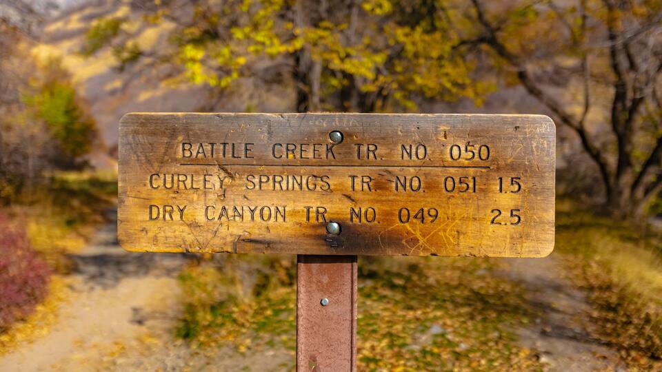 A wooden trail sign with trail numbers and distances.