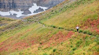 A woman trail runs through a colorful field on Mt. Timpanogos, near Pleasant Grove, UT.