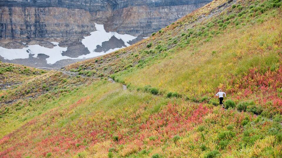 A hiker on a grassy hillside with a snow patch and a rocky cliff in the background.