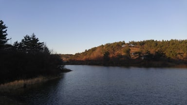 정촌면 죽봉 저수지