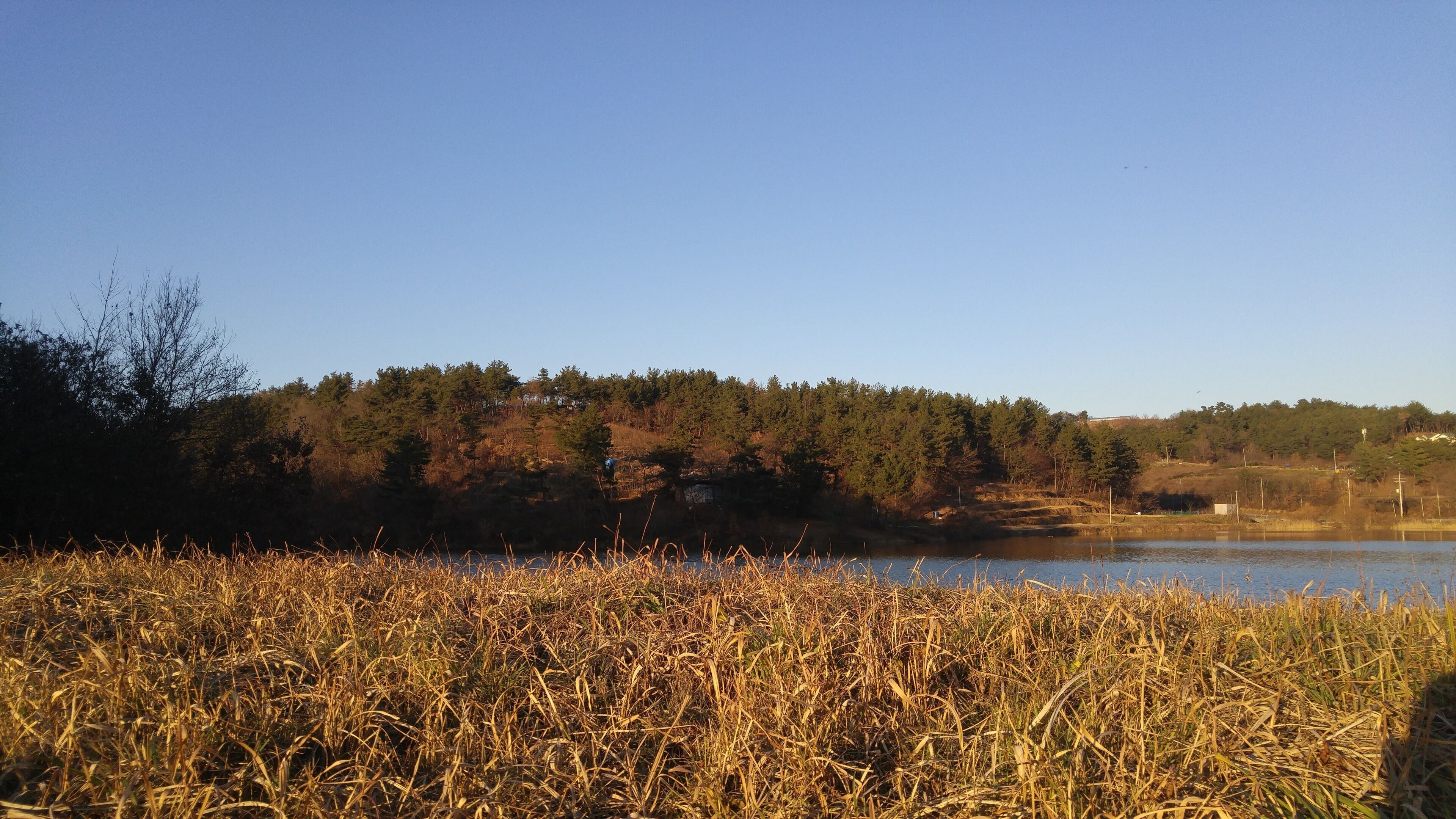 정촌면 죽봉 저수지 재방