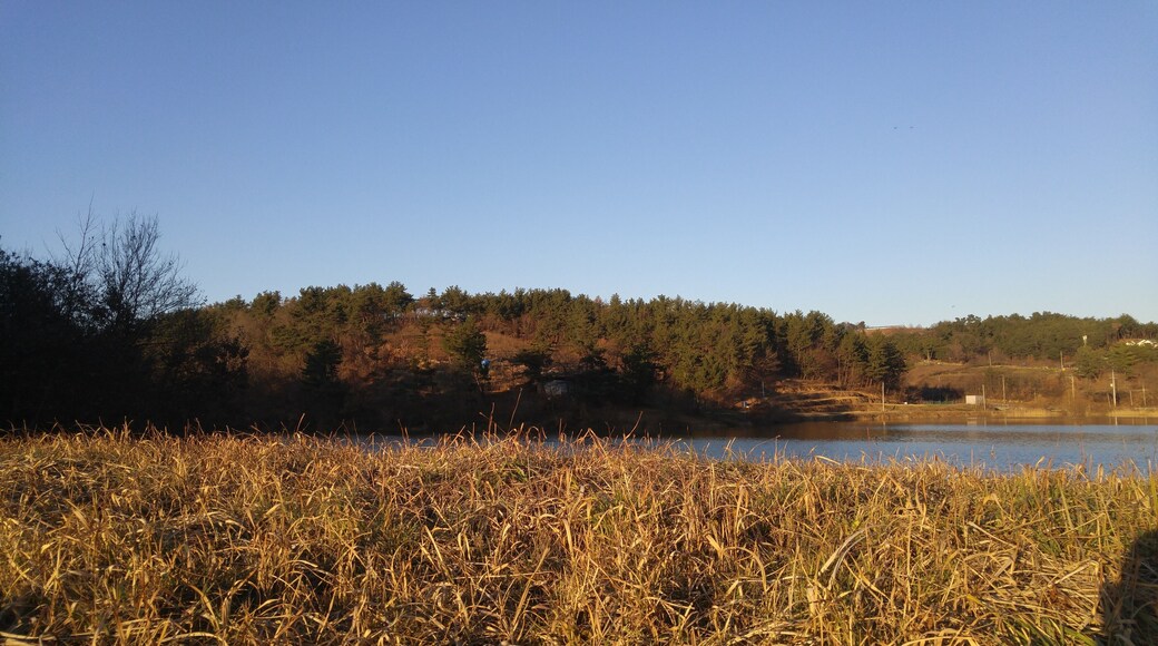 정촌면 죽봉 저수지 재방