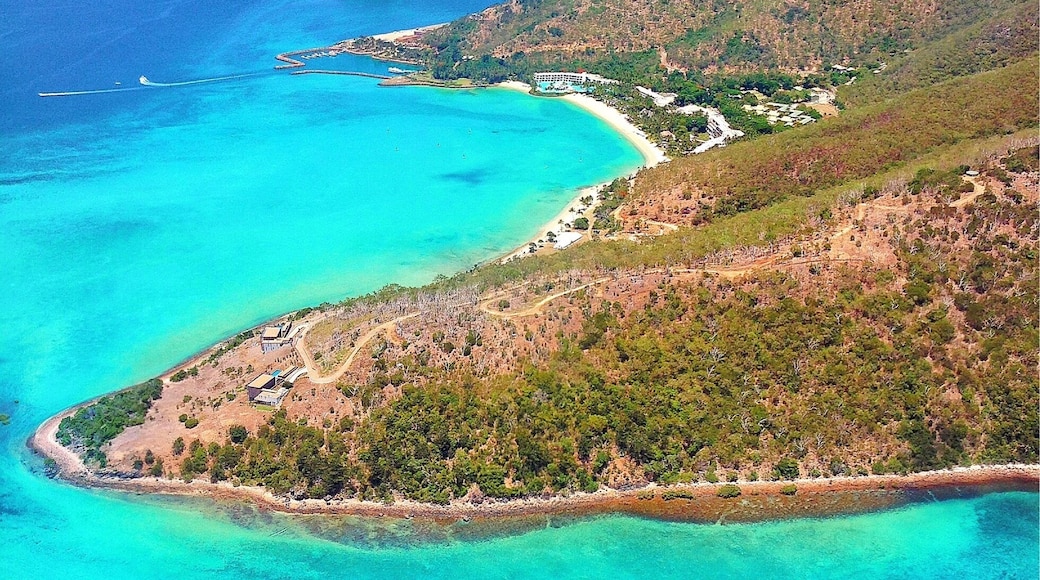 Starting the week dreaming of being back at this paradise in the Whitsundays, the amazing @oohaymanisland! Have a great week! ☀️🚁🐠🐟🌴😀
#lovewhitsundays #thisisqueensland #seeaustralia