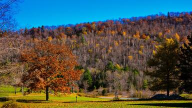 Autumn Scenery - Plymouth Notch, Vermont
