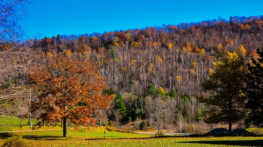 Autumn Scenery - Plymouth Notch, Vermont