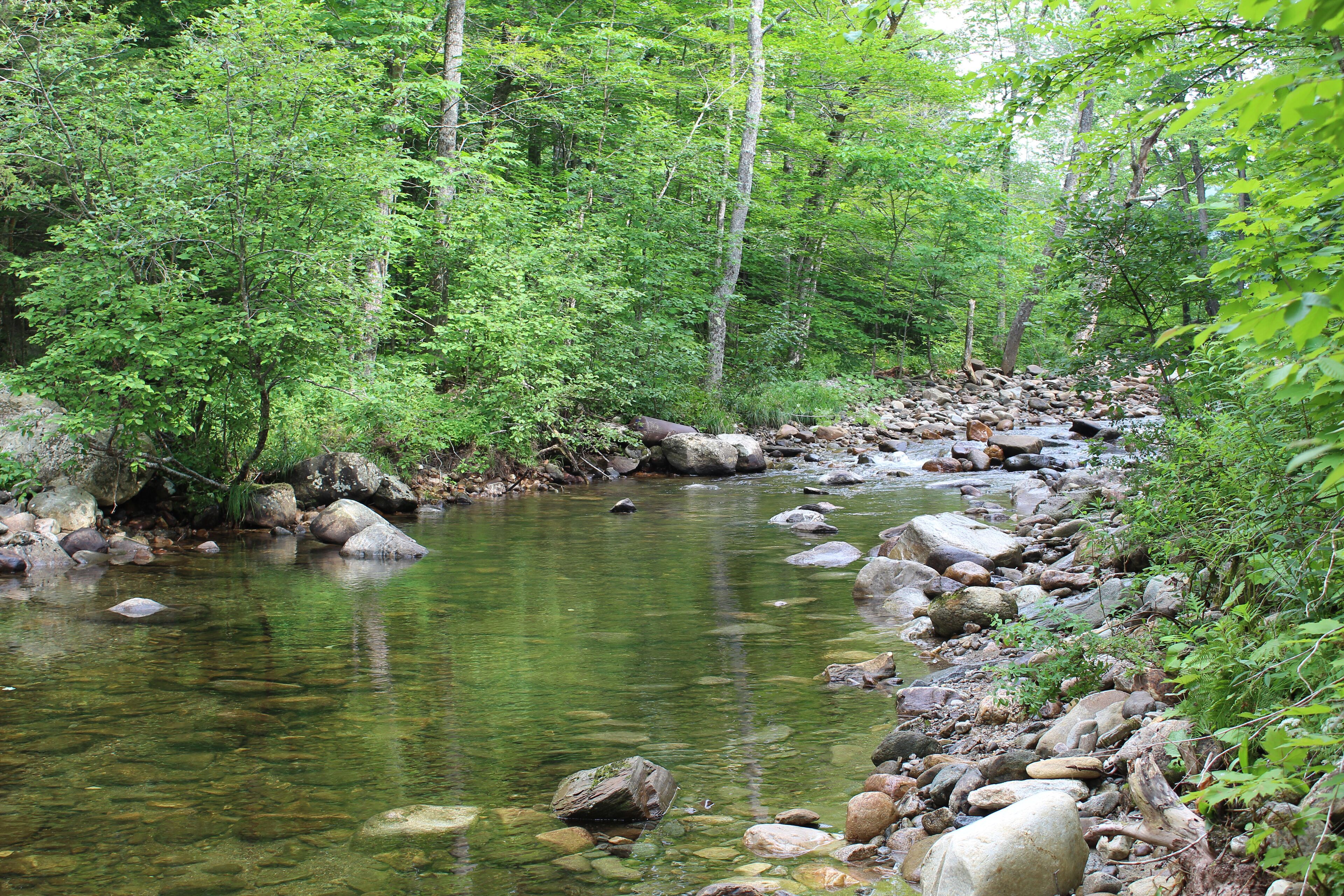 Black River in Plymouth, Vermont