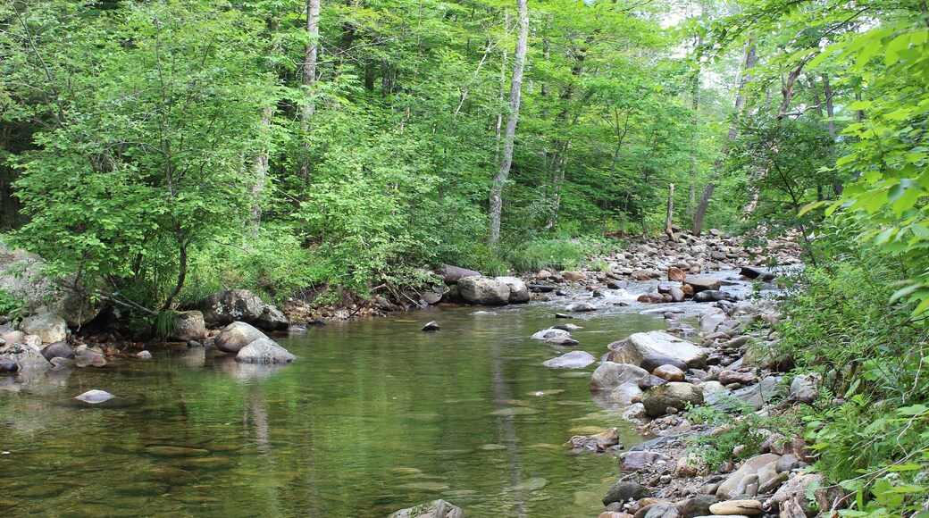Black River in Plymouth, Vermont
