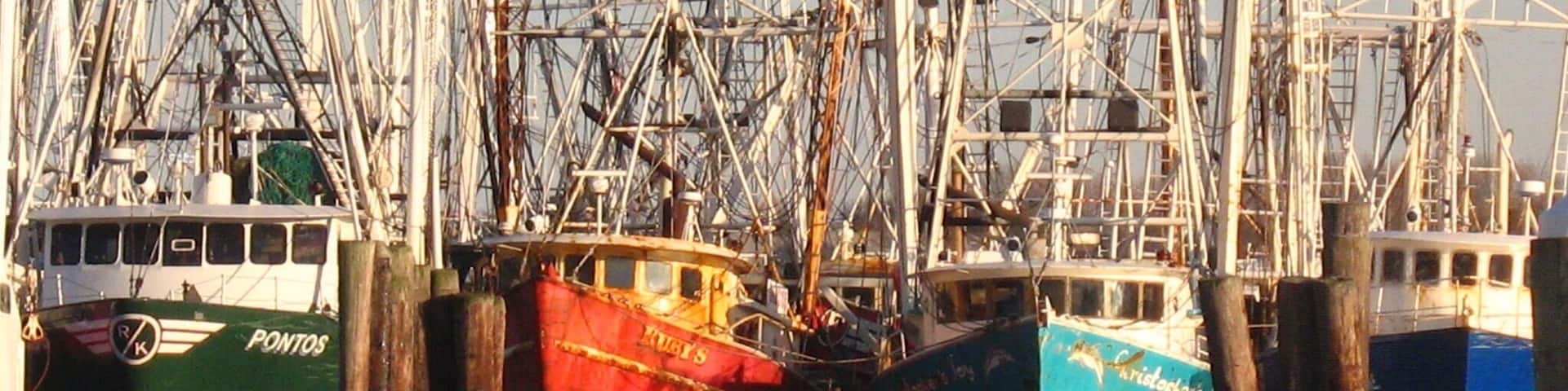 Just walking around on the docks.