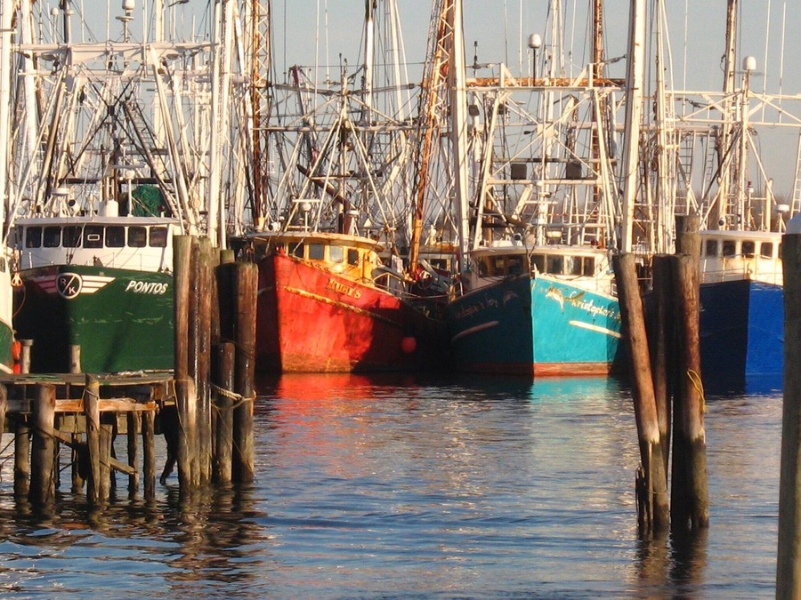 Just walking around on the docks.