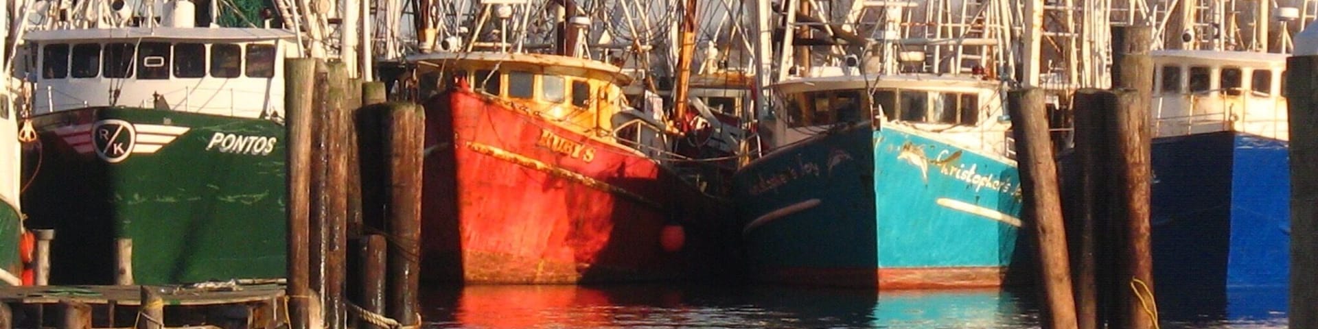 Just walking around on the docks.