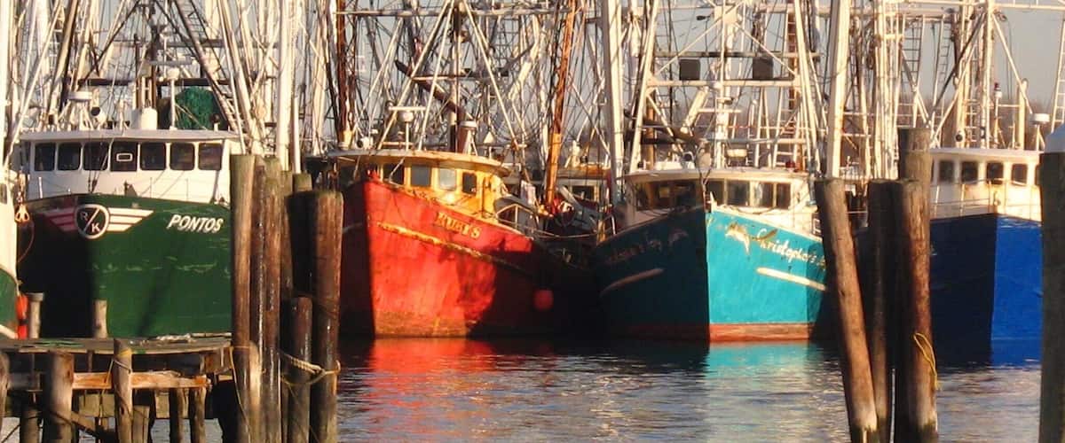 Just walking around on the docks.